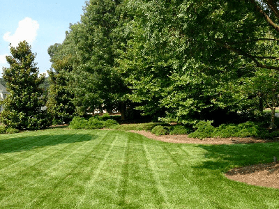 Mosey Landcapes Landscaping Carlisle PA Company and Services